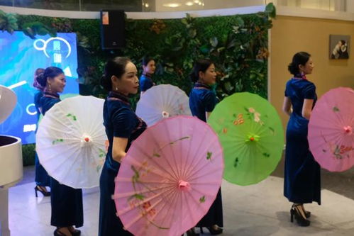 品牌天下戰(zhàn)略合作晨曦藝術(shù)公司會(huì)員主題活動(dòng)圓滿(mǎn)舉行