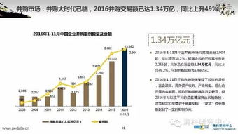 2016年中國(guó)股權(quán)投資市場(chǎng)回顧與展望 融資咨詢服務(wù)的機(jī)遇與挑戰(zhàn)