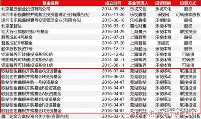 被樂視辜負的資本盛宴 大佬、明星與近百機構的未解困局